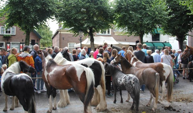 Het wordt bloedheet op Paardenmarkt 2018. Het bestuur beraadt zich op maatregelen. Foto: facebook Paardendagen