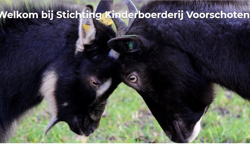 De home pagina van de nieuwe website van de kinderboerderij