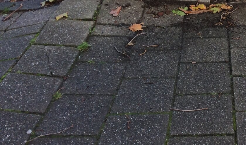 <p> De SOC wil per wijk, dus ook in Leidschenveen en Ypenburg, de meest gevaarlijke punten in kaart brengen met als doel het aantal buitenhuis-ongevallen te laten dalen. Foto: Peter Zoetmulder</p>