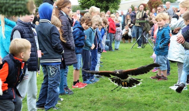 Er was een roofvogelshow waarbij een roofvogel onder meer tussen een smalle haag van jongens en meisjes door vloog; de kinderen vonden het prachtig (foto: Ap de Heus).