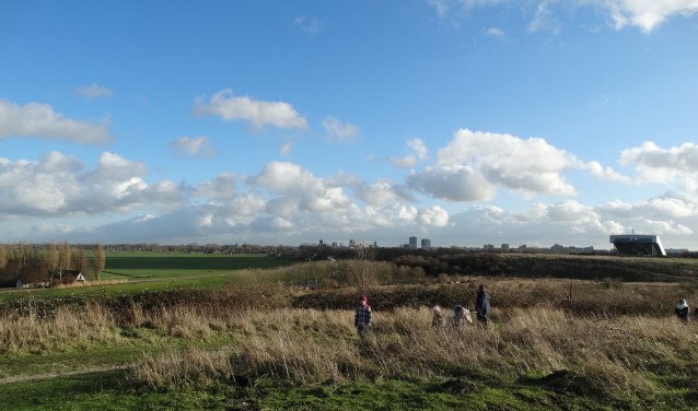 Laat in 2018 natuurbescherming leidend zijn, ook hier in het Buytenpark. Tekst en foto: Rob Wiewel