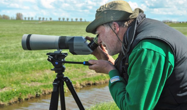 Tijdens de excursie gaan de deelnemers op zoek naar de grutto, kievit, tureluur, scholekster en slobeend (foto: Wout van der Slikke).