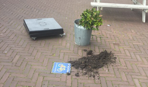 Foto: Martijn Mastenbroek