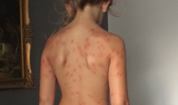 Kinderen kwamen de afgelopen periode onder de bulten uit het water.
