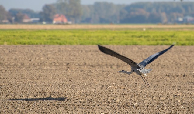 De excursie op woensdag 14 november start om 13.00 uur, duurt maximaal twee uur en is geheel gratis.