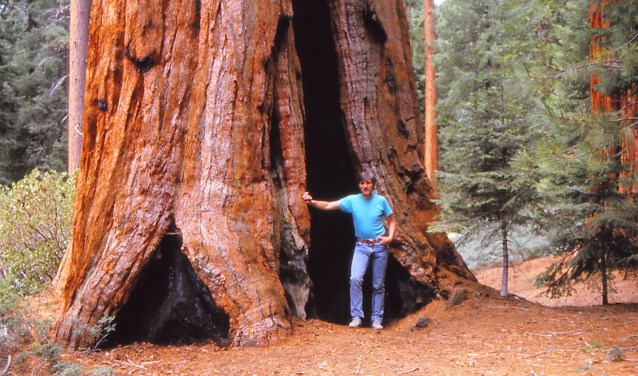 Ook het Yosemite National Park met zijn gigantische Sequoia's komt aan de orde (foto: pr).