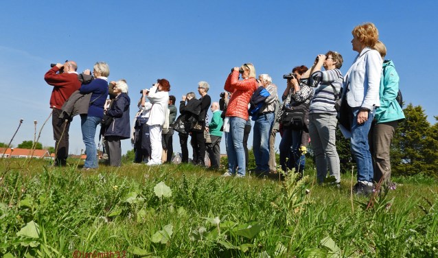 Foto: Jan Smith Z'meer