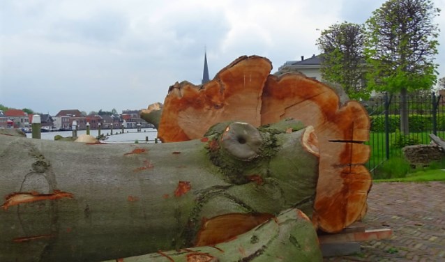 Hout staat zaterdag centraal in molen De Salamander (foto: Linda Steentjes).