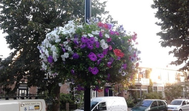 In het Damcentrum worden dit soort fleurige bloembakken opgehangen. (Foto: archief)