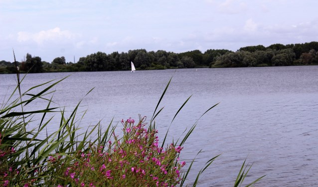Het gesteggel om het nakomen van gemaakte afspraken over de aanleg van geluidschermen, (veilige) natuurvriendeljke oevers en kreken blijft nog wel even doorgaan (foto: Dick Janssen).