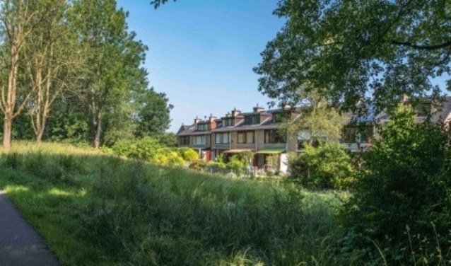 Het Westerpark, in het gedeelte achter Leiwater bij de wijk Meerzicht. Foto: Bo Liagantara