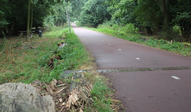Het Molenpad is een fiets/wandelpad tussen de Nieuwkoopseweg en Pijnacker Noord.