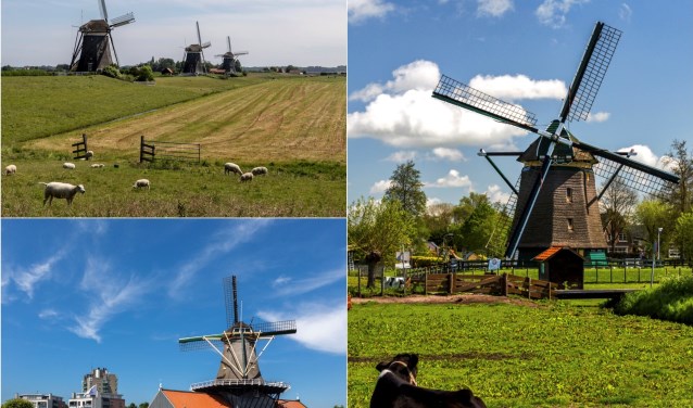 De molens van Leidschendam-Voorburg presenteren zich op een lokale Molendag (foto Charles Groeneveld).