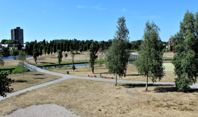 Ook het Sijtwendepark in Voorburg begint al aardig wat tekenen te vertonen van verdroging (foto: Dick Janssen).