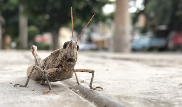 (foto in scène gezet)