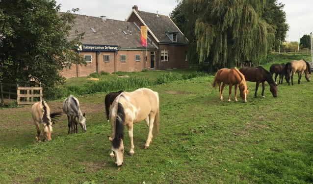 Ruitersportcentrum De Voorweg opent op zondag 23 september de deuren voor iedereen. Foto: pr