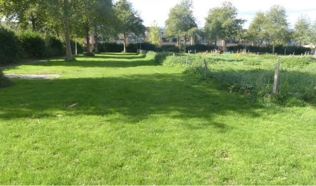 Omwonenden pleiten voor de opneming van de bestemming Plataanhout terrein in de brede bouwagenda. Foto: pr