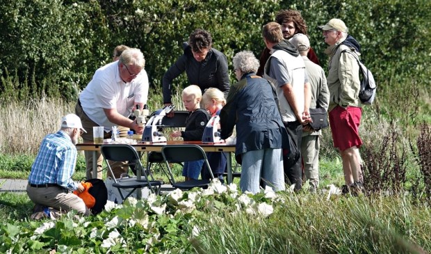 Foto: Lotty Sonnenberg