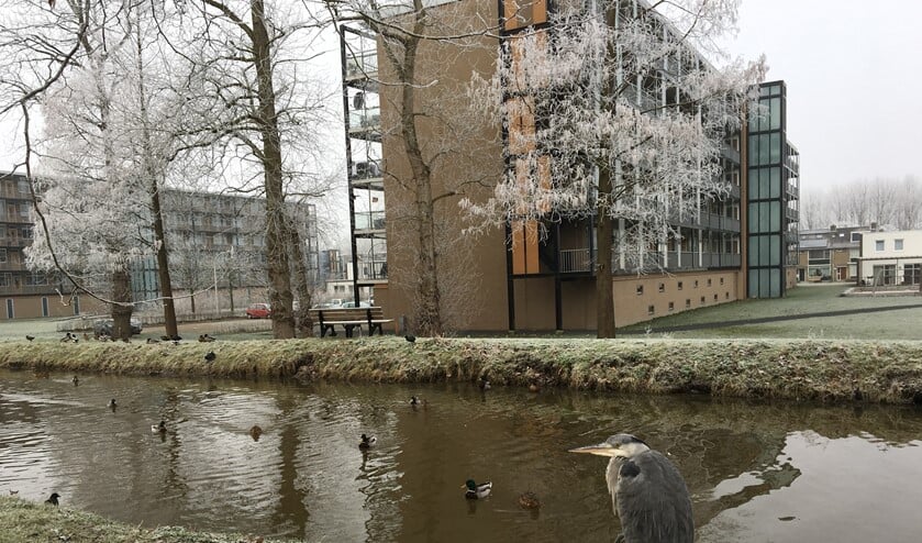 Rondom Wonen gaat van ruim 600 huurwoningen (in totaal 2.500 afrekeningen) laten berekenen hoe veel de huurders te veel betaald hebben aan vastrecht in de jaren 2014 tot en met 2017.