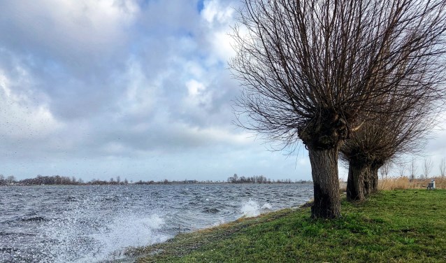 Onstuimig weer bij de Zoetermeerse plas op 8 januari. Foto: Jolanda Bakker