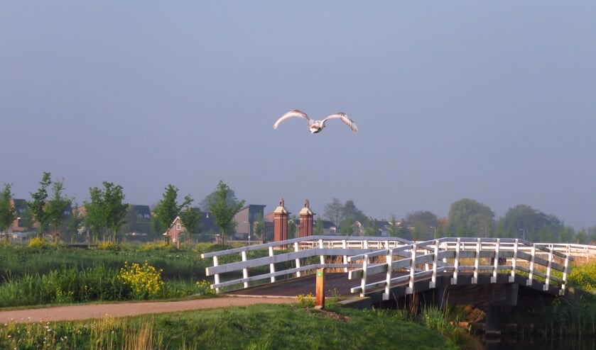 De Groenzoom blijft wat het Burgerpanel betreft de grens met Lansingerland. (foto: Nel Giorgi)