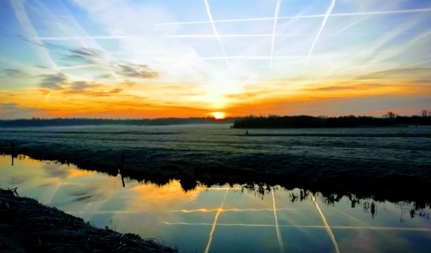 Het Balijbos. (foto: Aad Tas/Telstar)