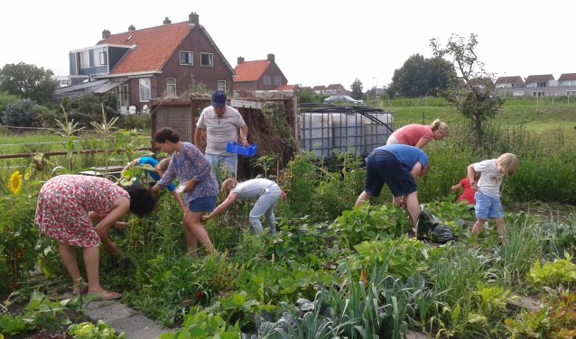 Tuinieren is altijd weer een feest.