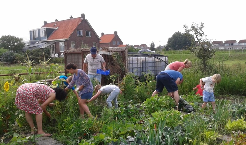 Tuinieren is altijd weer een feest.