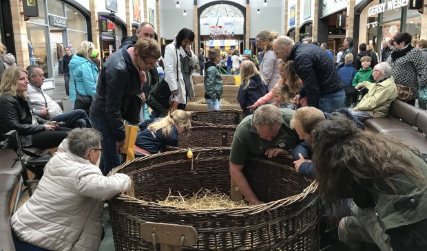 Leuke paasactiviteiten dus in rwinkelcentrum Meerzicht. Foto: pr