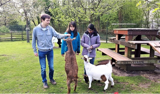 Jorian, Lian en Rajitha zijn drie jonge enthousiaste vrijwilligers van de Stadstuin Rusthout in Leidschendam (foto: Vrijwilligerspunt).
