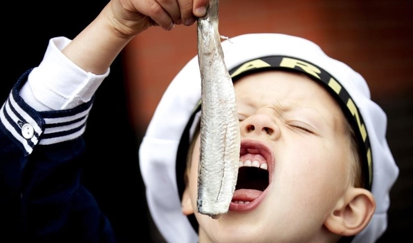 De komst van de nieuwe haring is de ideale aanleiding om een week lang feest te vieren. Foto: pr