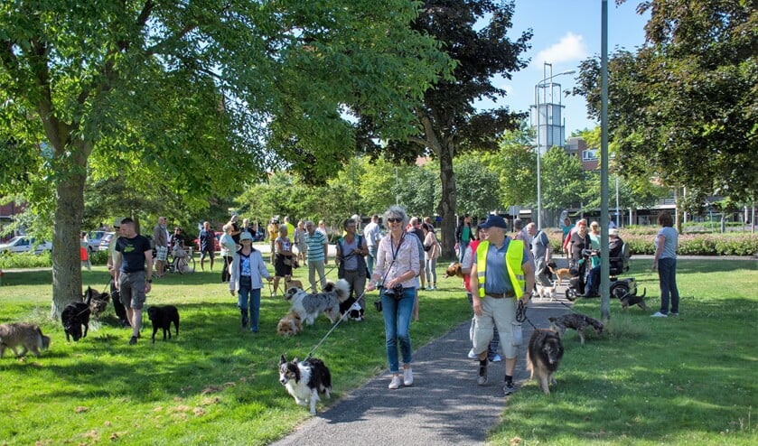 Op de demonstratie tegen de verhoging van de hondenbelasting kwam een vijftigtal hondenbezitters met hun dieren af (foto: Sebastiaan Barel).