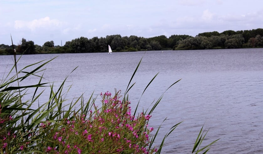 Een scherm zou de geluidsoverlast in Vlietland aanzienlijk verminderen.