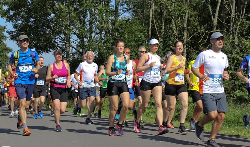 165 lopers trotseerden de hitte. (Foto: Roel van Dorsten)