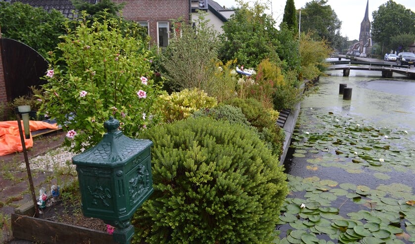 Het gaat vaak maar om percelen van 50 a 60 cm (Foto: Inge Koot)