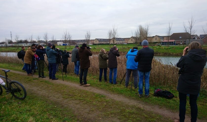 Zondag waren er veel fotografen in de Groenzoom. (foto: Eugene van der Lans)