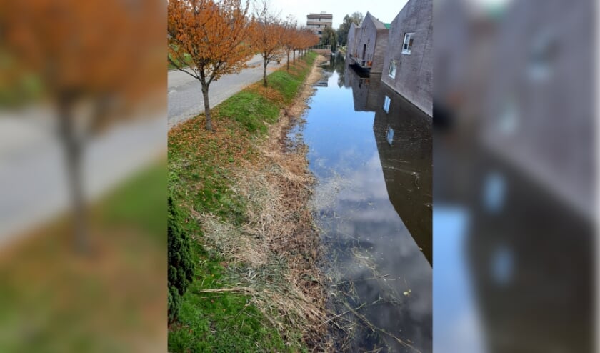 <p>Een 'hap en snap' waterkant aan de Rijswijkse Landingslaan. Foto's: Peter van Dam</p>