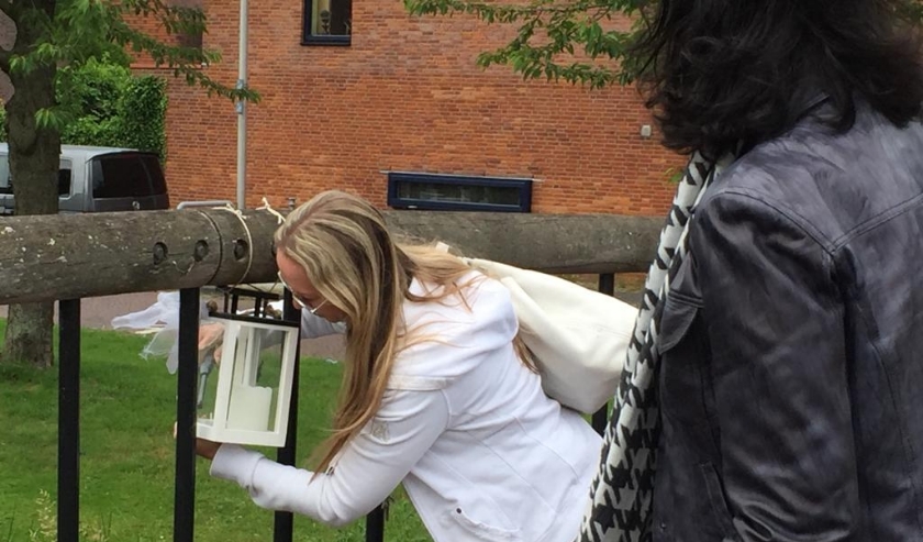 De mooie en in Ypenburg bekende zwaan Anthon en zijn gezin zijn niet meer. Jolanda Klok hangt ter nagedachtenis een lantaarn bij de brug in het bijzijn van stadsdeeldirecteur Petra Sevinga. Foto: Michelle Milton-Spaans