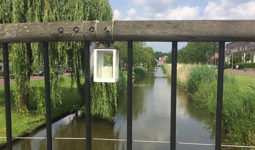 Het water aan de Anthony Fokkersingel te Ypenburg. De lantaarn aan het bruggetje hangt daar voor het zwanengezin dat hier op mysterieuze wijze is overleden. Foto's: Peter Zoetmulder