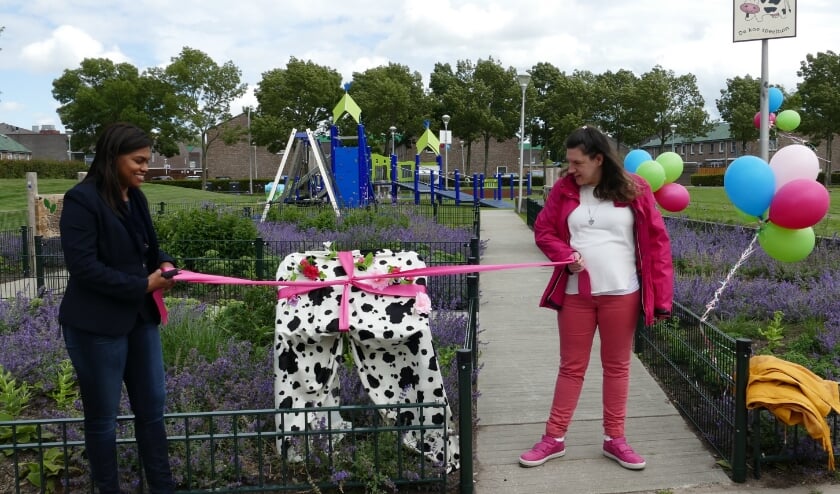 De speeltuin is zo ingericht dat kinderen met en zonder beperking hier samen kunnen spelen. Foto: pr
