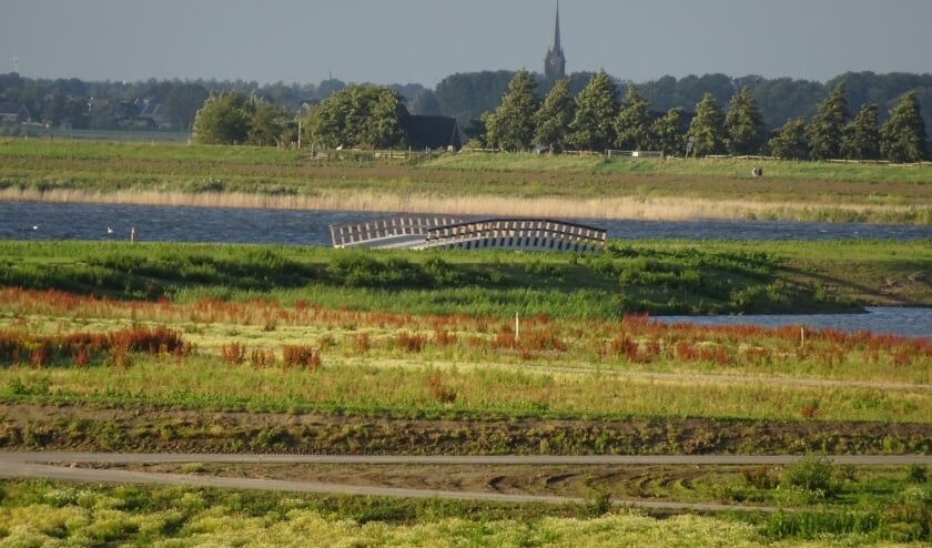 Het middengebied van de Nieuwe Driemanspolder is reeds opengesteld voor bezoekers. Zo'n groot natuurgebied om de hoek is ook voor de bewoners van Leidschenveen-Ypenburg een aanwinst Foto: Ronald Koster