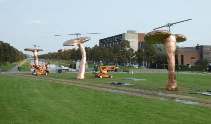 Een intrigerend en reusachtig ensemble van drie ‘paddenstoel-helikopters’. Foto: Dick Muijs