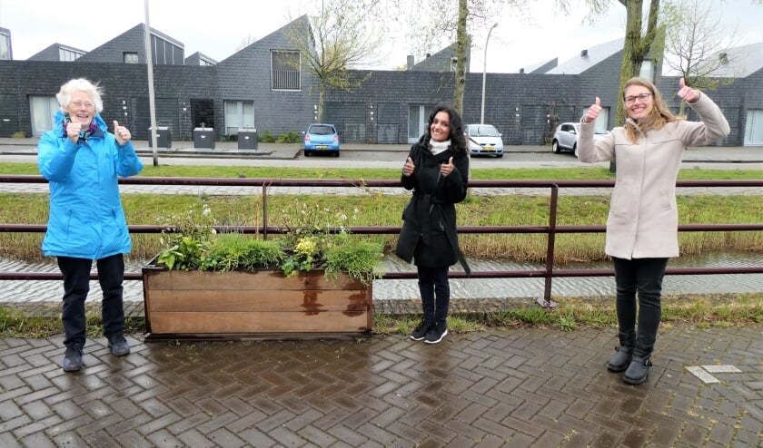 <p>Ida (l.) en haar buurtbewoners zorgen voor een fraaie, groene woonomgeving. Tekst en foto: Dick Muijs</p>