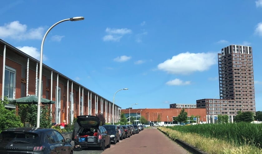 <p>Parkeerplekken aan een deel van de Blauwe Reigersingel. Hoe druk wordt het daar in de toekomst? Foto: Peter Zoetmulder</p>