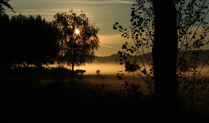 het stilte gebied bij de Bieslandhoeve. (Foto: Ton Dam)