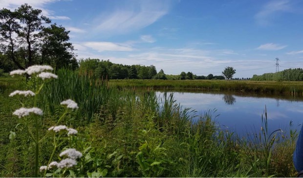 De Loobeek in de zomer.