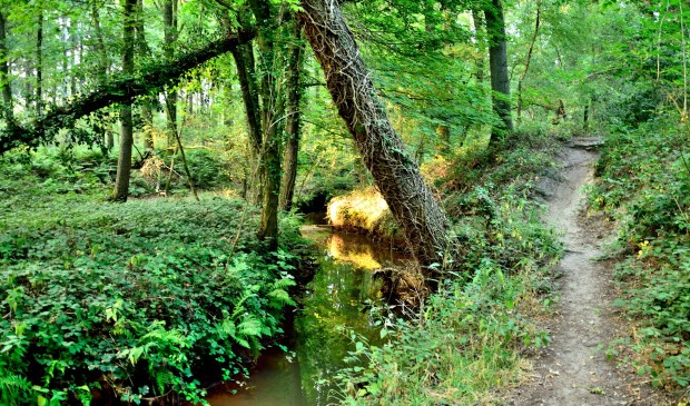 De zomer is nu overgegaan in de herfst, ook op Landgoed Geijsteren.