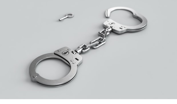 De Nederlandse politie heeft woensdag vijf personen gearresteerd. (foto: pixabay, rechtenvrij)
