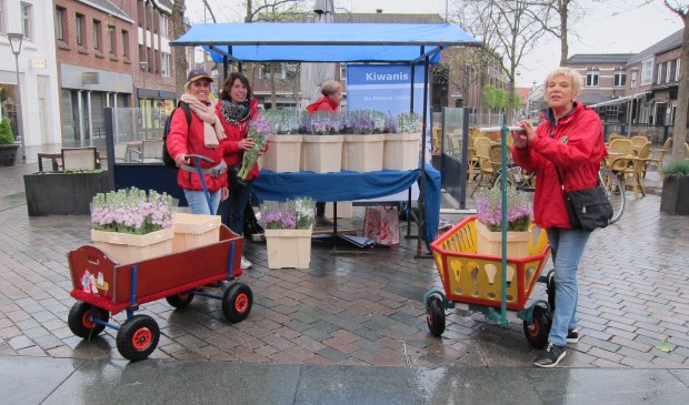 Kiwanis Club de Rooyse Ladies verkoopt violieren voor Leergeld.