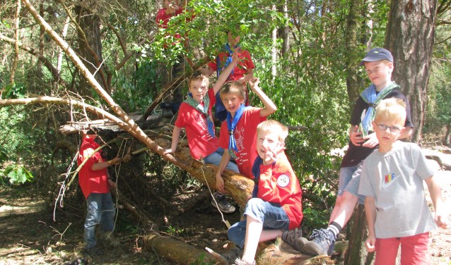 Leden van scoutinggroep De Meuleberg voeren actie voor de aankoop van een stuk bos.